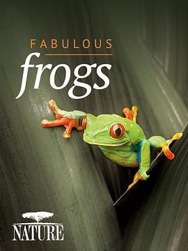 大自然：爱登保罗爷爷带你看绝妙的蛙 Nature: Attenborough's Fabulous Frogs (2014) - 毒蛇电影