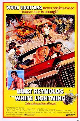 白色闪电 White Lightning (1973) - 毒蛇电影