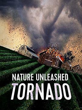 Nature Unleashed: Tornado  (2004) - 毒蛇电影