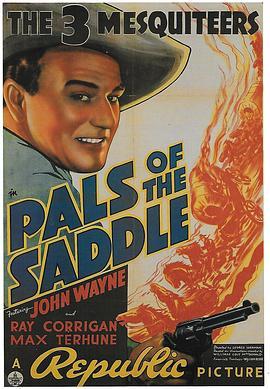 萨德的朋友们 Pals of the Saddle (1938) - 毒蛇电影