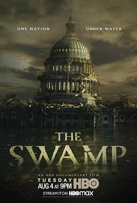 抽干民主党 The Swamp (2020) - 毒蛇电影