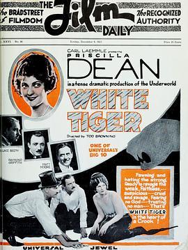 白虎 White Tiger (1923) - 毒蛇电影