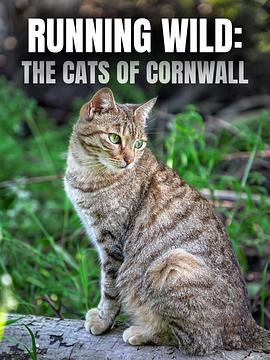 Running Wild: The Cats of Cornwall  (2020) - 毒蛇电影