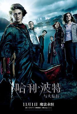 哈利·波特与火焰杯 Harry Potter and the Goblet of Fire (2005) - 毒蛇电影