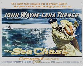 怒海追逐战 The Sea Chase (1955) - 毒蛇电影