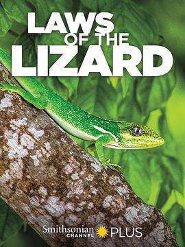 蜥蜴法则 Laws of the Lizard (2017) - 毒蛇电影