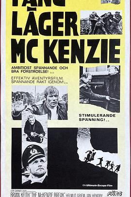 海陆空大逃亡 The McKenzie Break (1970) - 毒蛇电影