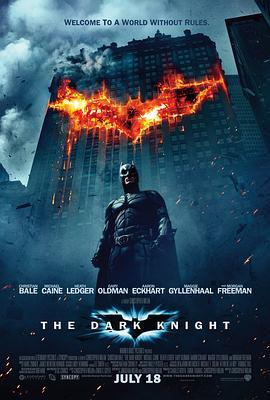 蝙蝠侠：黑暗骑士 The Dark Knight (2008) - 毒蛇电影