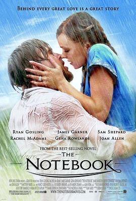 恋恋笔记本 The Notebook (2004) - 毒蛇电影