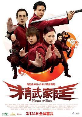 精武家庭  (2005) - 毒蛇电影