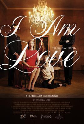 我是爱 Io sono l'amore (2009) - 毒蛇电影