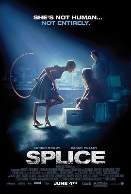 人兽杂交 Splice (2009) - 毒蛇电影