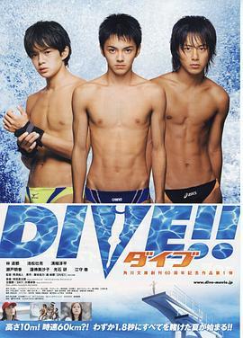 跳水男孩 DIVE!!ダイブ!! (2008) - 毒蛇电影