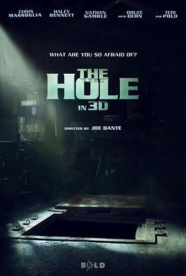 神秘洞穴 The Hole (2009) - 毒蛇电影