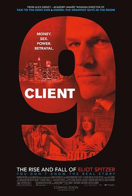 9号客人：纽约州州长斯皮策盛衰记 Client 9: The Rise and Fall of Eliot Spitzer (2010) - 毒蛇电影