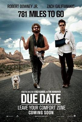 预产期 Due Date (2010) - 毒蛇电影