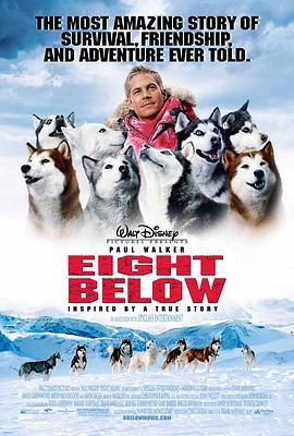 南极大冒险 Eight Below (2006) - 毒蛇电影