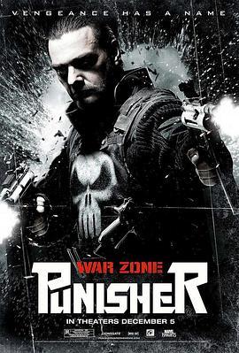 惩罚者2：战争特区 Punisher: War Zone (2008) - 毒蛇电影