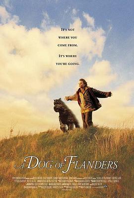 义犬报恩 A Dog of Flanders (1999) - 毒蛇电影