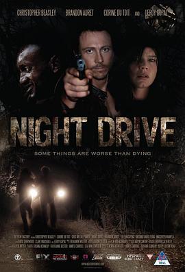 夜间旅行团 Night Drive (2010) - 毒蛇电影