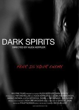 暗灵 Dark Spirits (2008) - 毒蛇电影