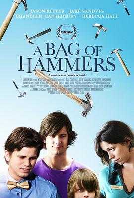 人人都有难念的经 A Bag of Hammers (2010) - 毒蛇电影