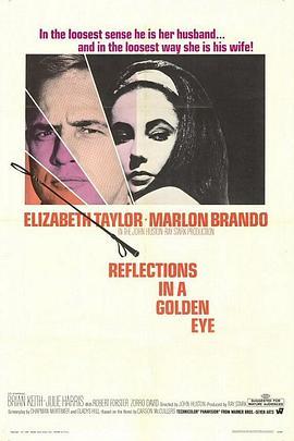 禁房情变 Reflections in a Golden Eye (1967) - 毒蛇电影