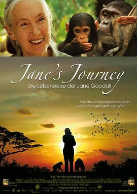 真爱旅程 Jane's Journey (2010) - 毒蛇电影