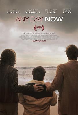 爱若此时 Any Day Now (2012) - 毒蛇电影