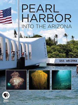 珍珠港：亚利桑那号探秘 Pearl Harbor: Into the Arizona (2016) - 毒蛇电影