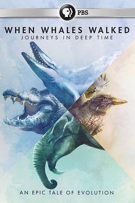 鲸鱼行走的时代：深时之旅 When Whales Walked: Journeys in Deep Time (2019) - 毒蛇电影