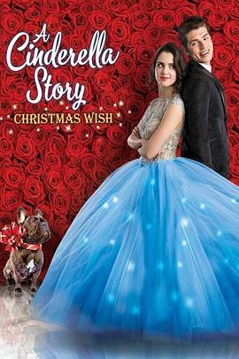 灰姑娘的故事：圣诞愿望 A Cinderella Story: Christmas Wish (2019) - 毒蛇电影