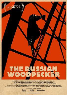 俄罗斯啄木鸟 The Russian Woodpecker (2014) - 毒蛇电影