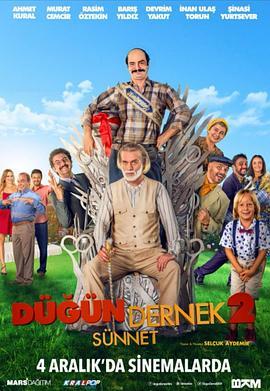 我盛大的土耳其婚礼2 Dügün Dernek 2: Sünnet (2015) - 毒蛇电影